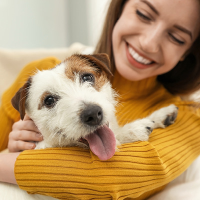 Person holding a brown and white dog sticking out its tongue